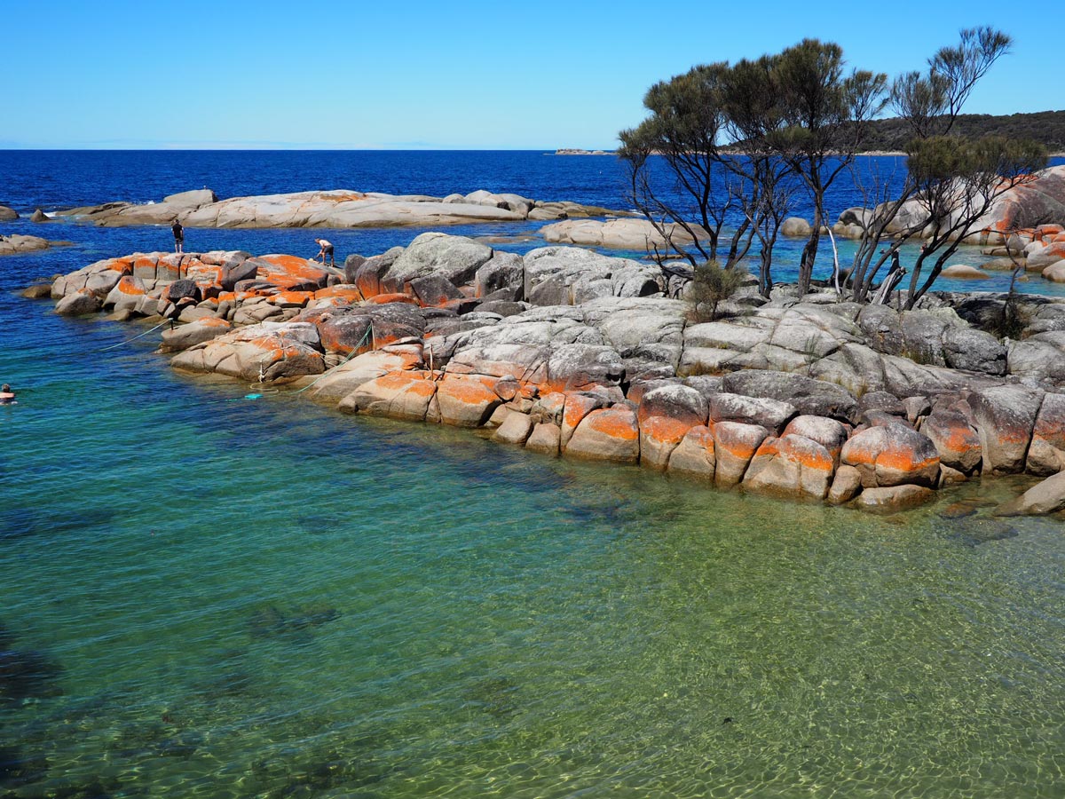 Exploring North East Lutruwita / Tasmania