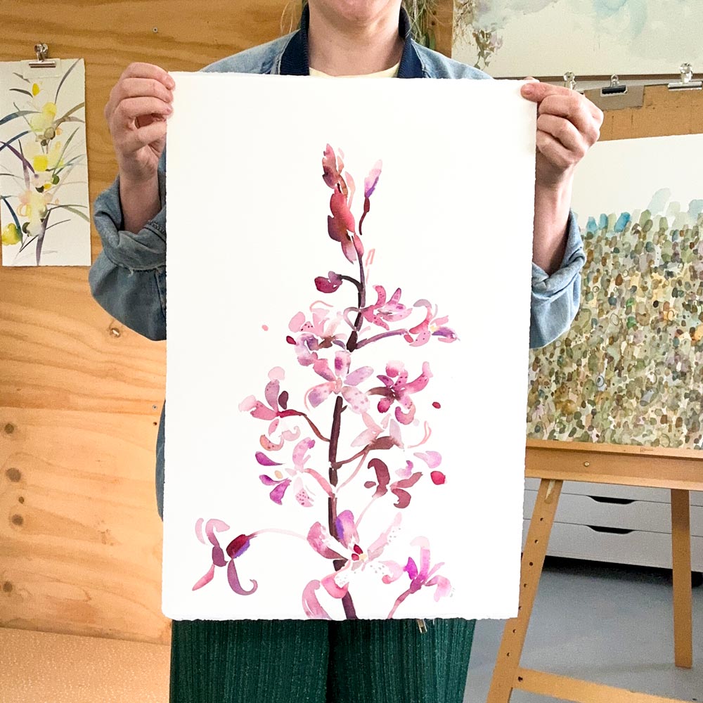 &#39;Rosy Hyacinth Orchid&#39; Original Artwork