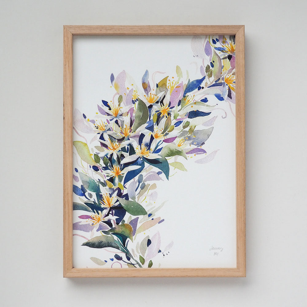 'January' Clematis Birth Flower Art Print