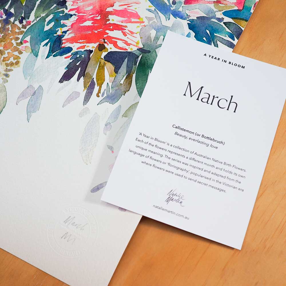 &#39;March&#39; Callistemon Birth Flower Art Print
