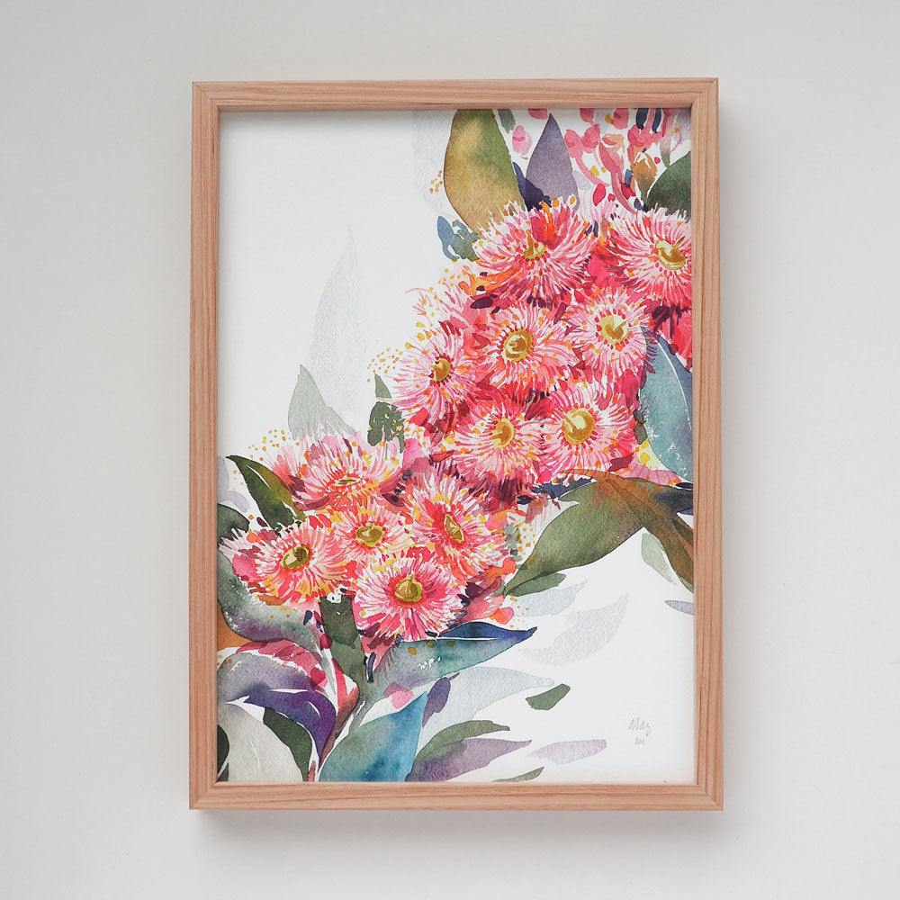 &#39;May&#39; Flowering Gum Birth Flower Art Print