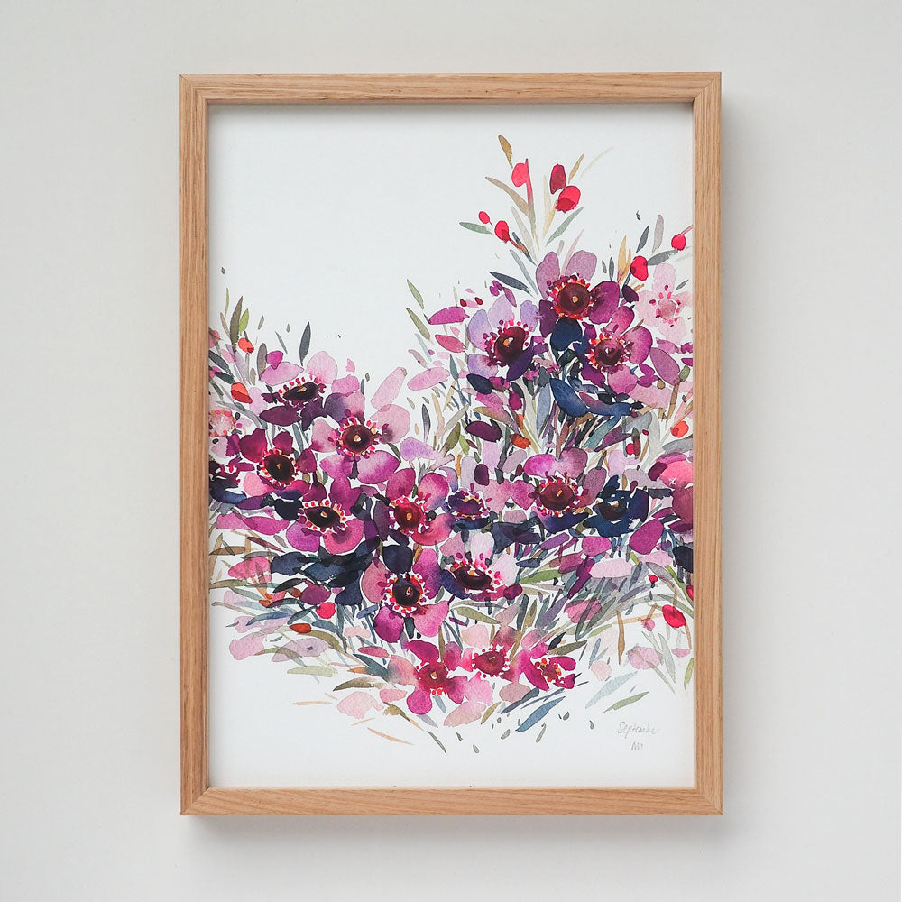 'September' Geraldton Wax Birth Flower Art Print