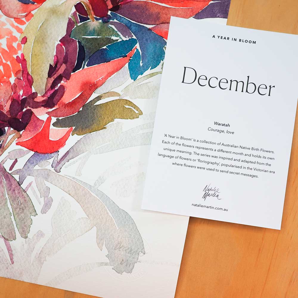 'December' Waratah Birth Flower Art Print