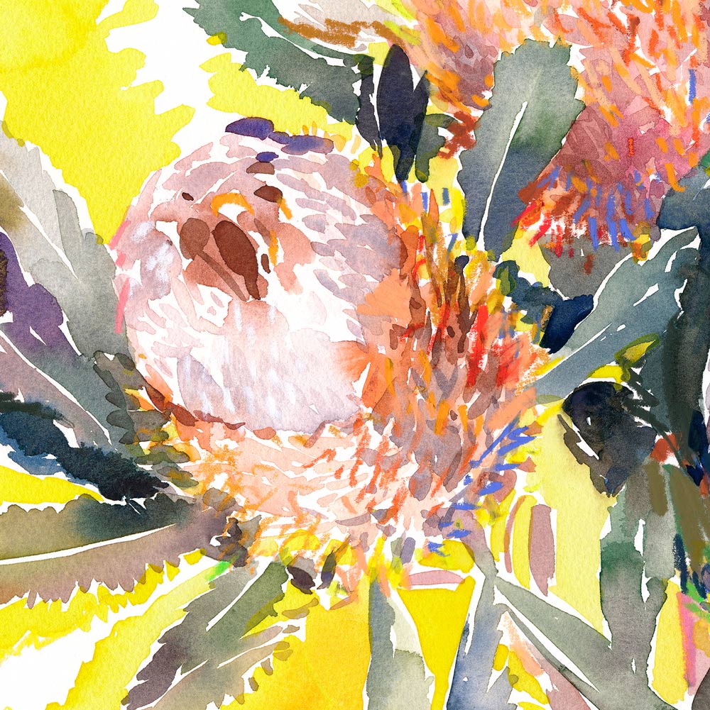 Close up view of 'Acorn Banksias on Yellow' Limited Edition Watercolour Art Print by Natalie Martin