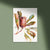 'Banksia Robur' Limited Edition Print