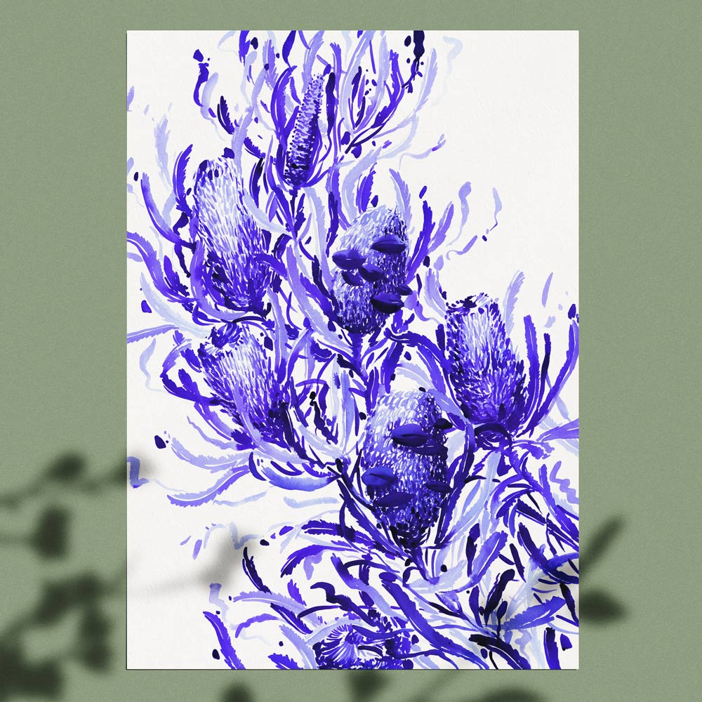 &#39;Candlestick Banksia in Blue&#39; (blue watercolour on white paper) Limited Edition Print by Natalie Martin
