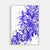 Framed 'Coastal Banksia in Blue' Limited Edition Watercolour Art Print by Natalie Martin
