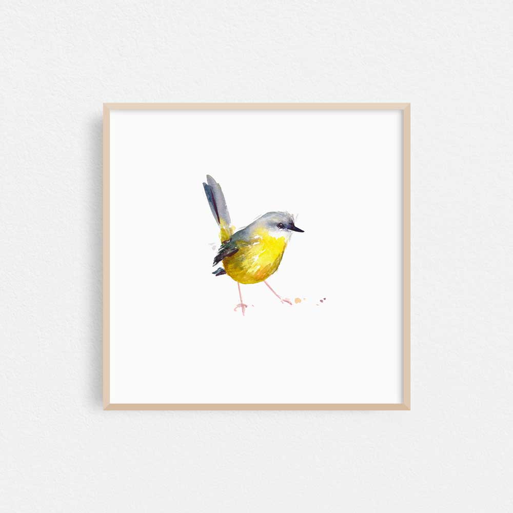 Framed &#39;Eastern Yellow Robin&#39; Limited Edition Watercolour Art Print by Natalie Martin