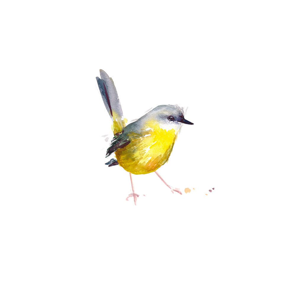 Unframed &#39;Eastern Yellow Robin&#39; Limited Edition Watercolour Art Print by Natalie Martin