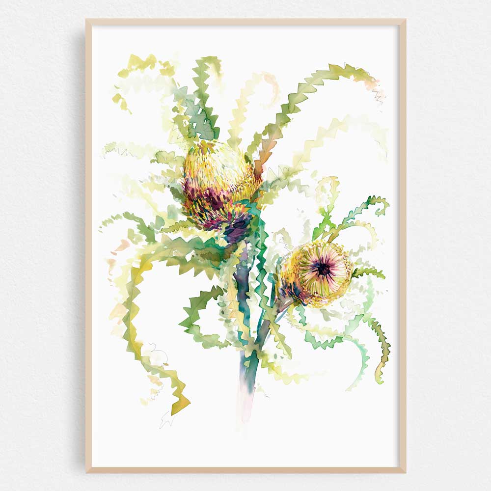 &#39;The Neighbour&#39;s Neighbour Banksia&#39; Limited Edition Print