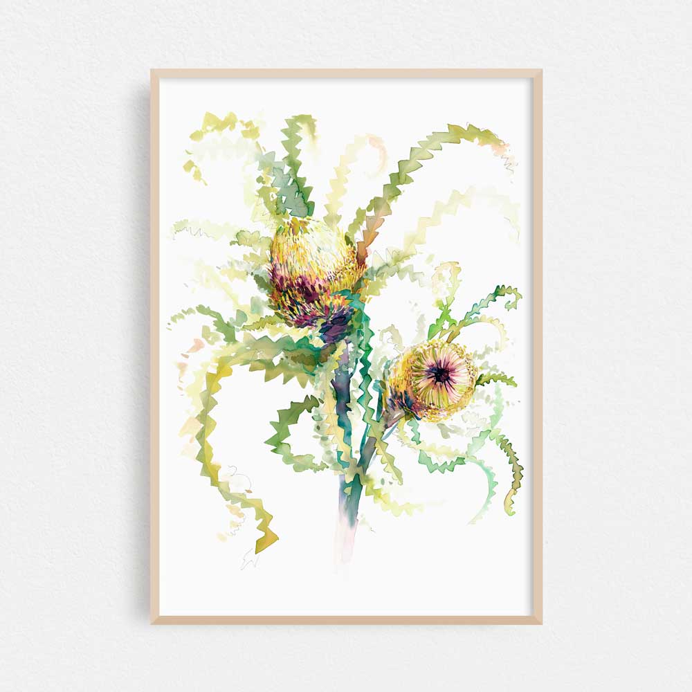 &#39;The Neighbour&#39;s Neighbour Banksia&#39; Limited Edition Print