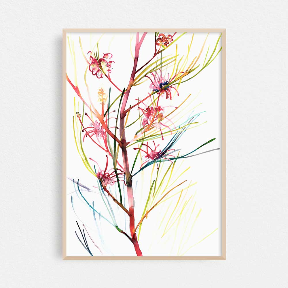 &#39;Roger&#39;s Grevillea&#39; Limited Edition Print