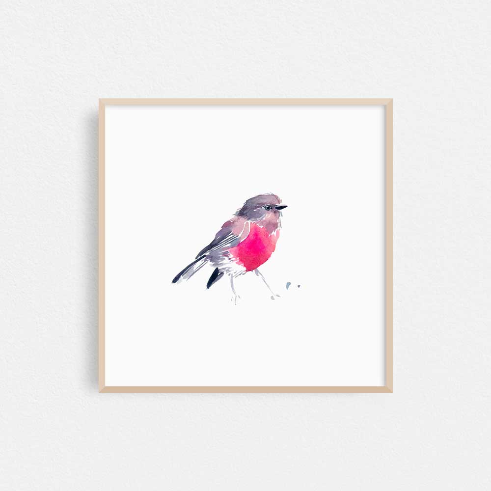 Framed &#39;Rose Robin&#39; Limited Edition Watercolour Art Print by Natalie Martin