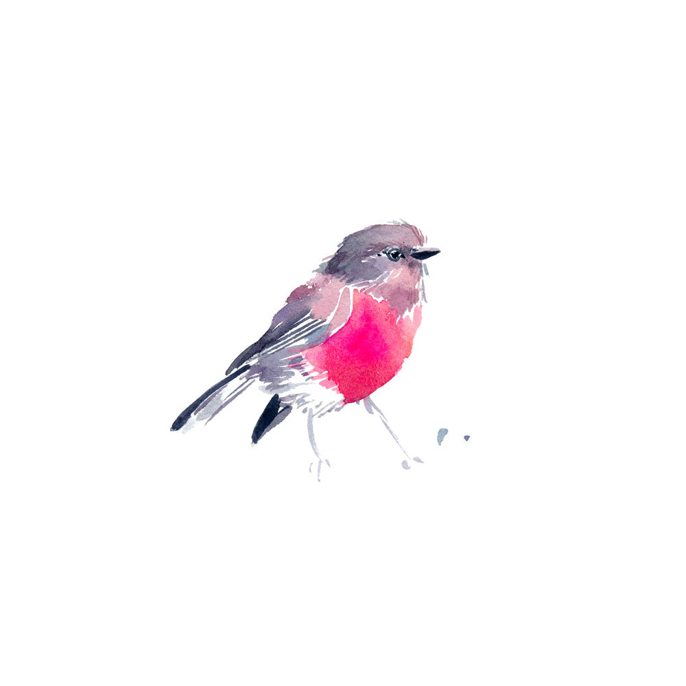 Unframed &#39;Rose Robin&#39; Limited Edition Watercolour Art Print by Natalie Martin