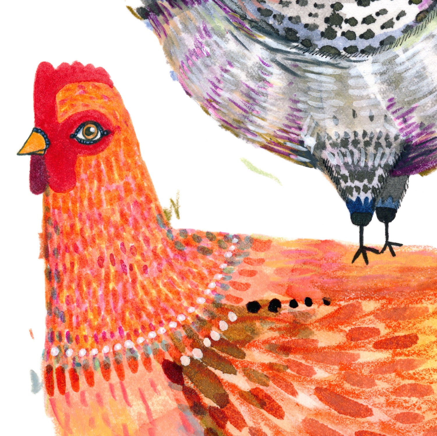 Finally...a new print