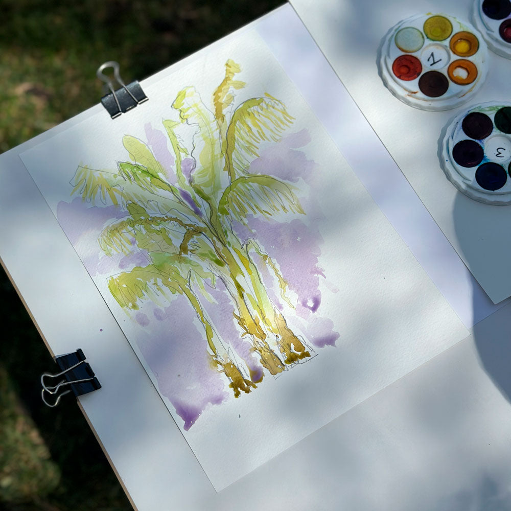 1 Day Watercolour En Plein Air Workshop - Sunshine Coast Hinterland, QLD