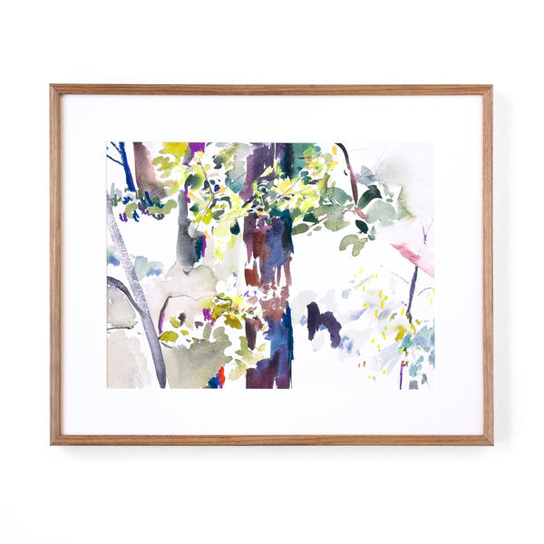 'Sheoak Picnic Ground #1' Framed Original Artwork
