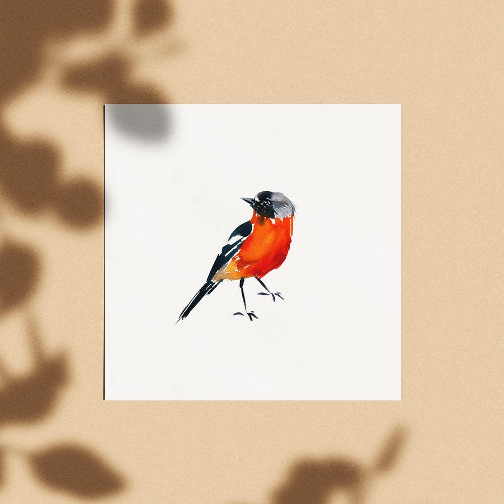 'Flame Robin' Limited Edition Print