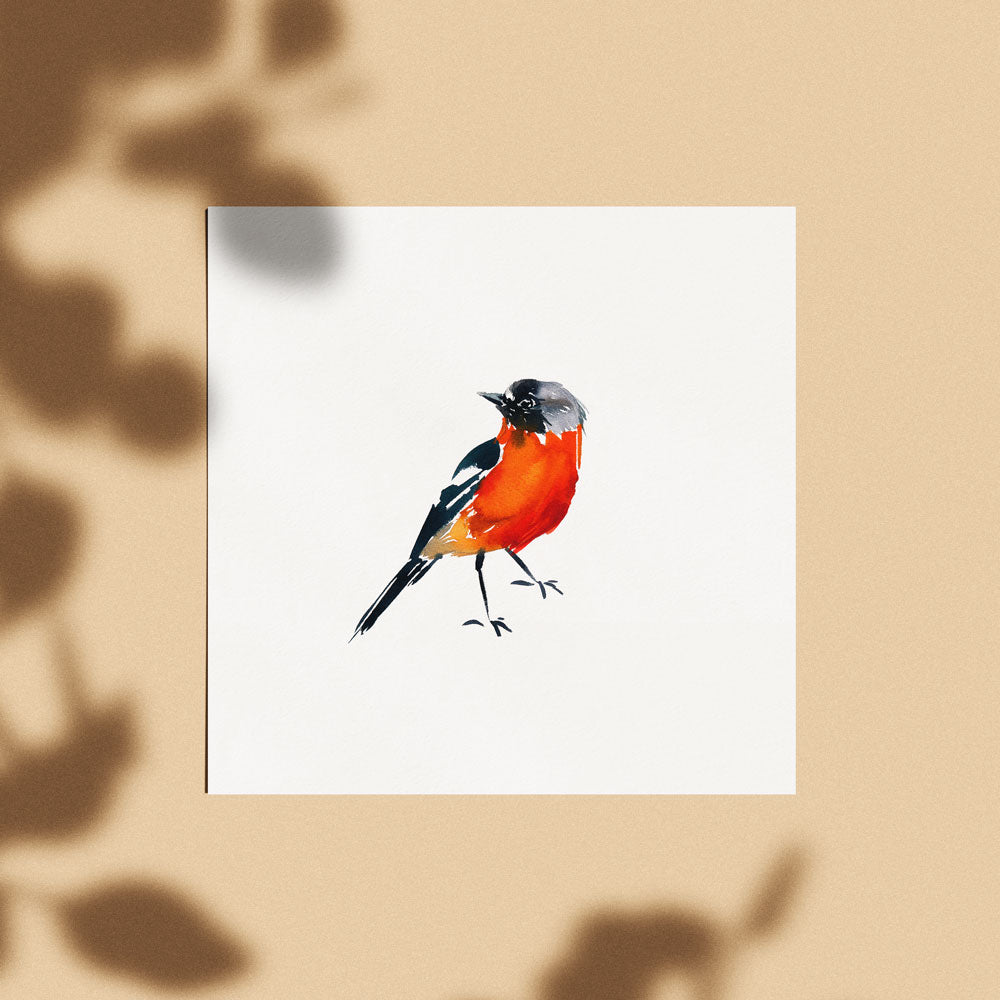 &#39;Flame Robin&#39; Limited Edition Print