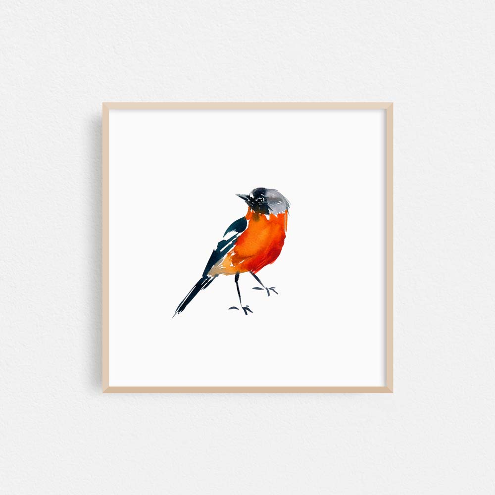 'Flame Robin' Limited Edition Print