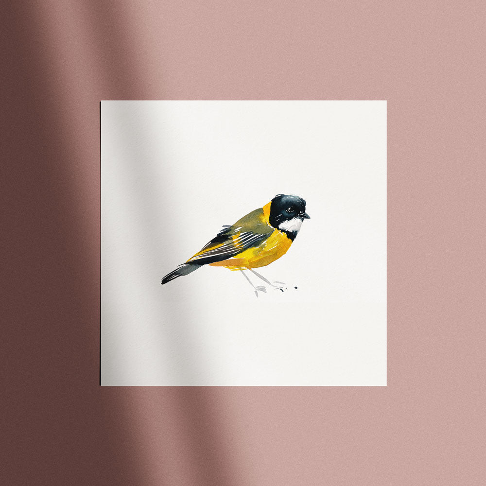 'Golden Whistler' Limited Edition Print