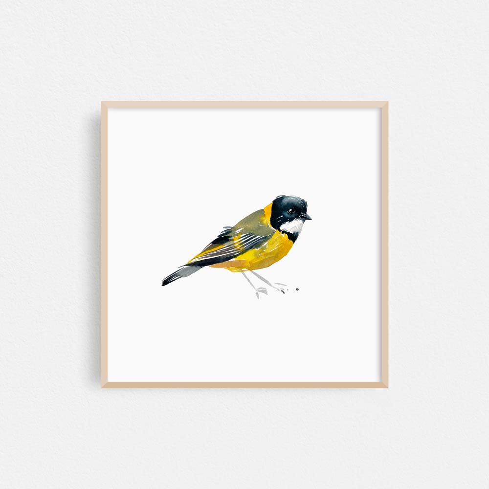 'Golden Whistler' Limited Edition Print