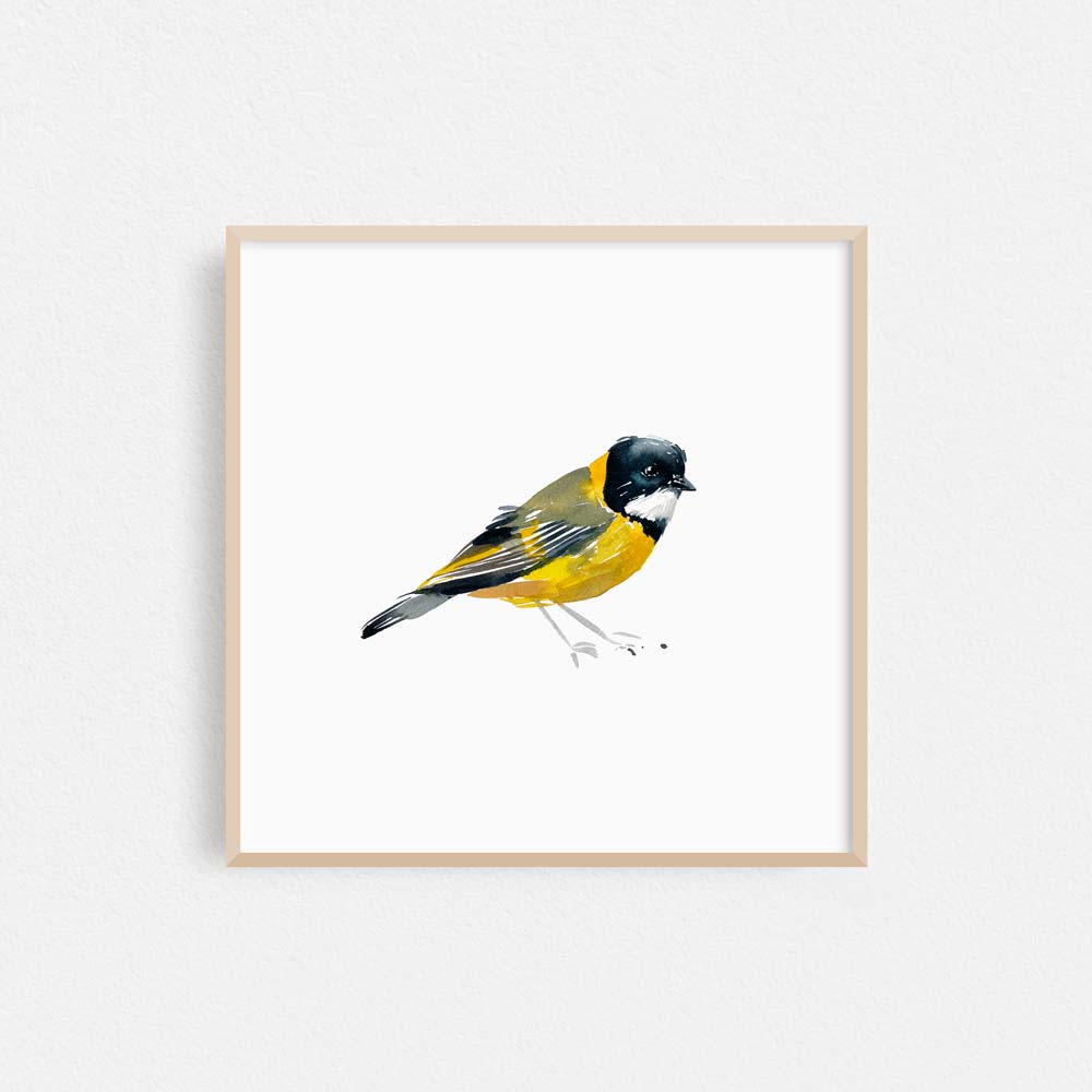 &#39;Golden Whistler&#39; Limited Edition Print