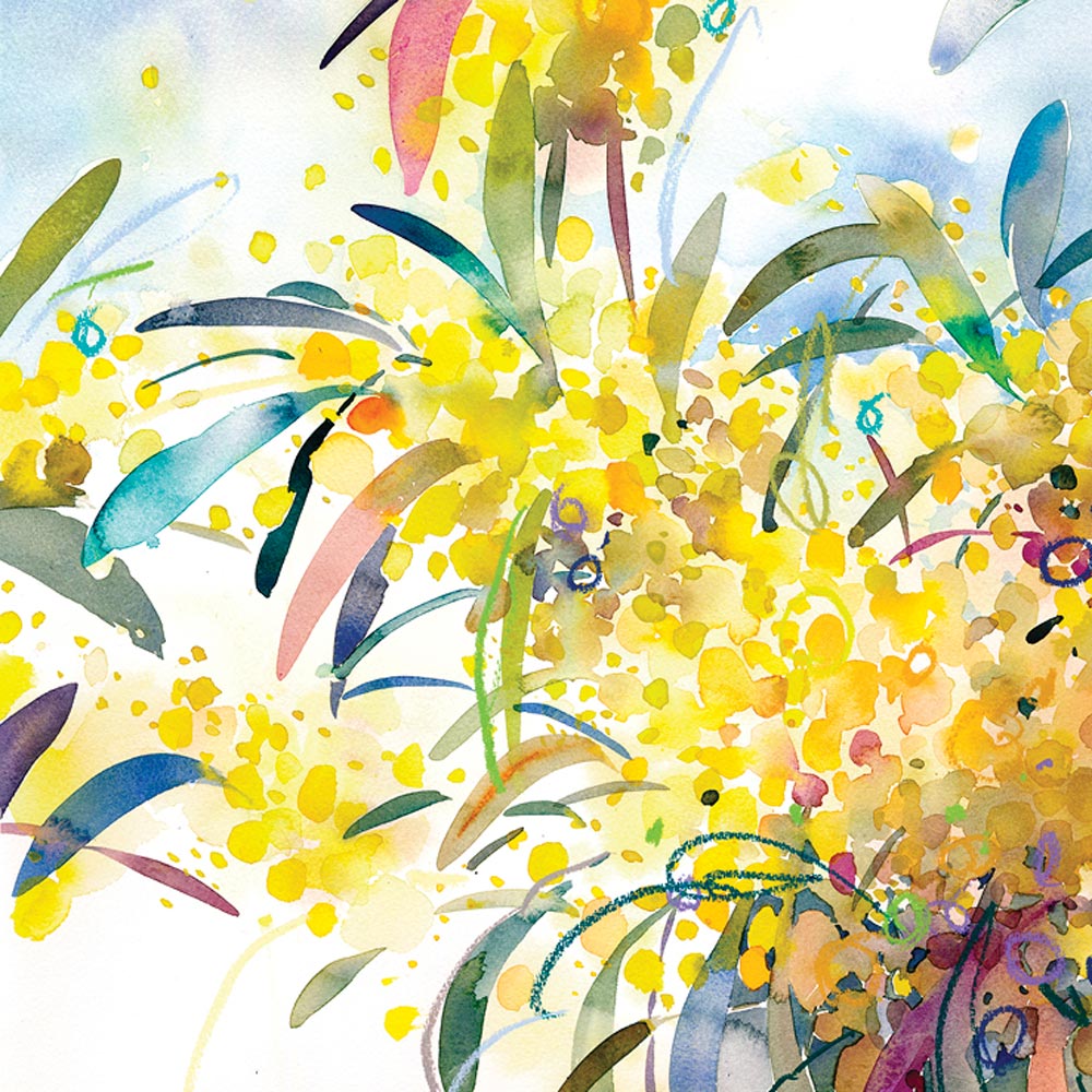 'Golden Wattle' NM x RBGV Greeting Card