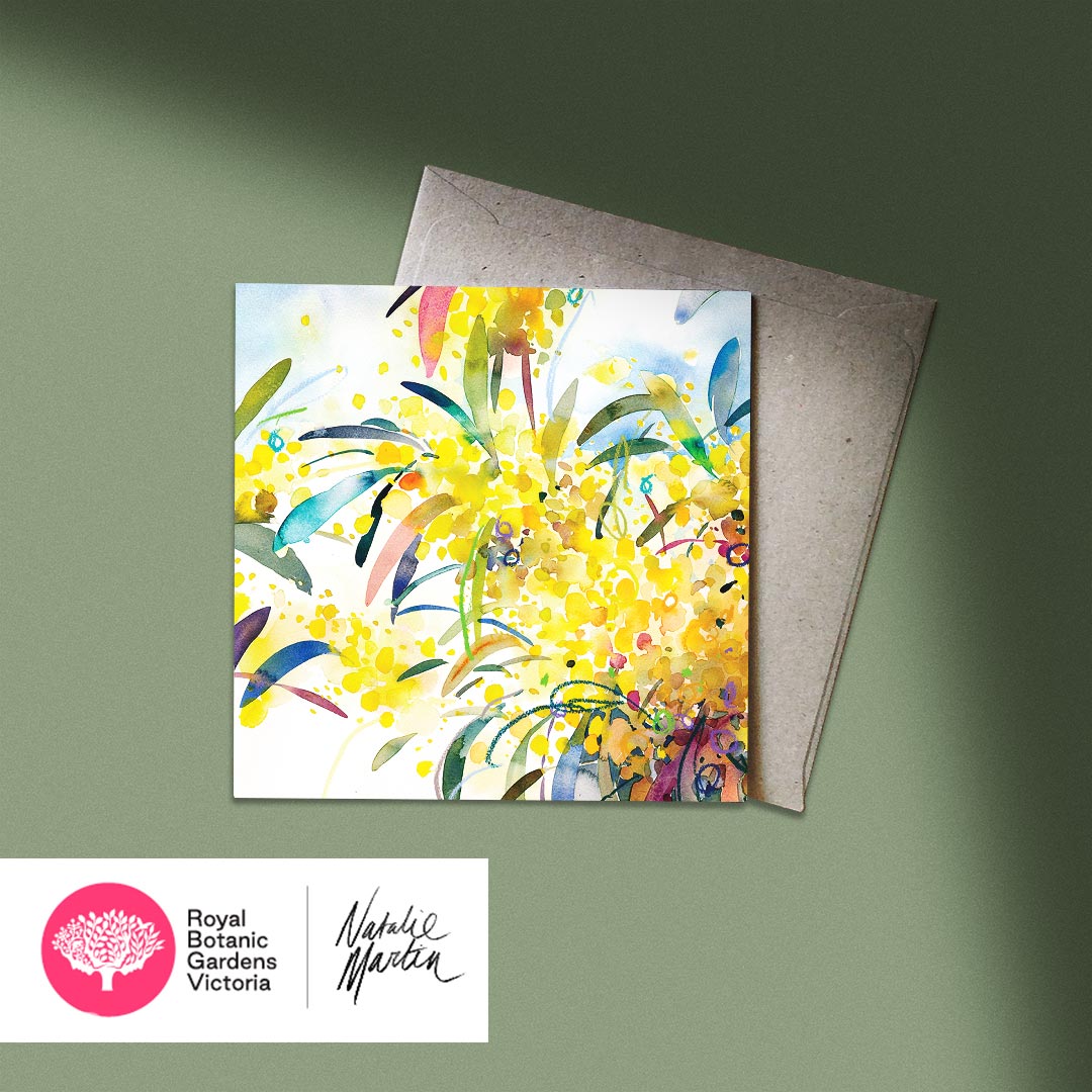 'Golden Wattle' NM x RBGV Greeting Card