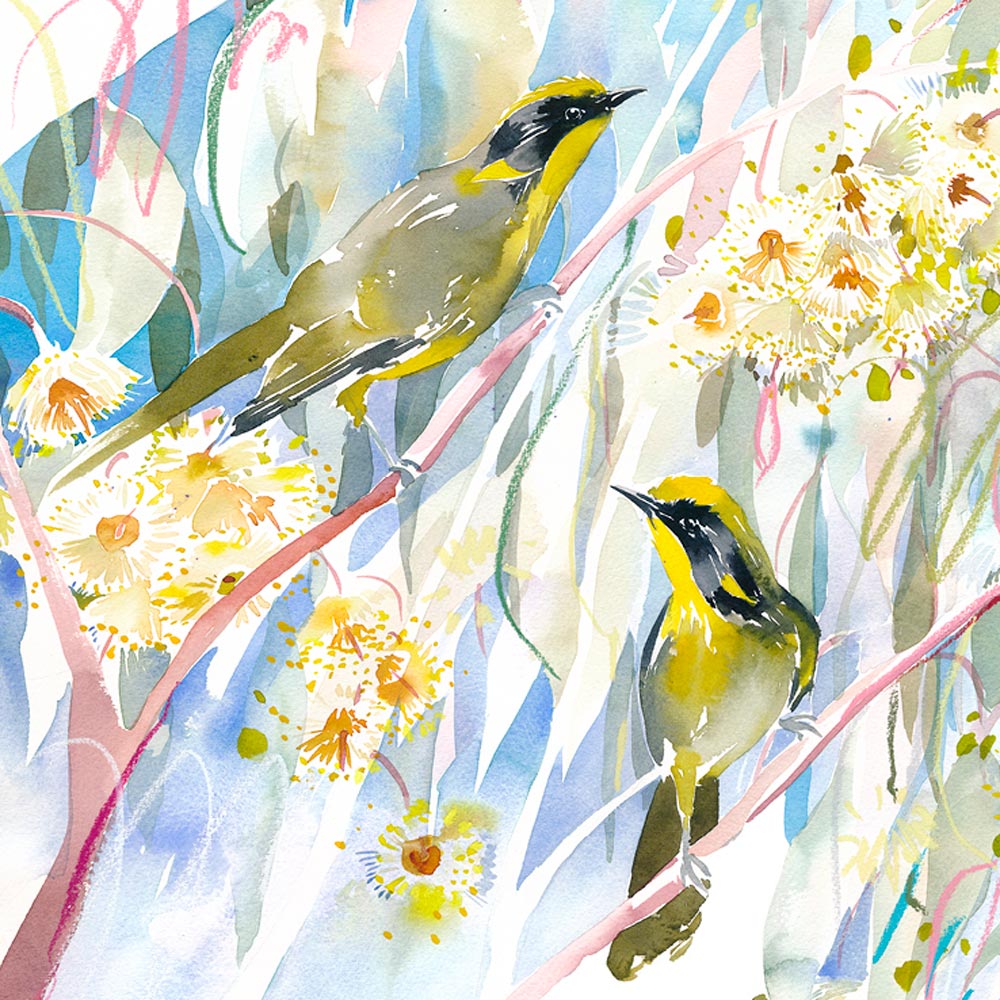 'Helmeted Honeyeaters' NM x RBGV Greeting Card