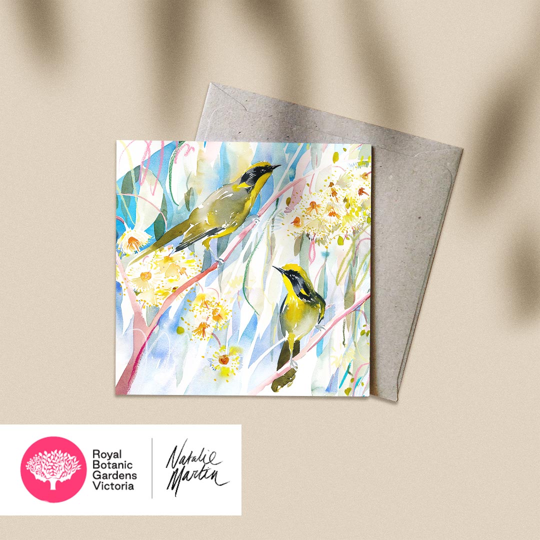 'Helmeted Honeyeaters' NM x RBGV Greeting Card
