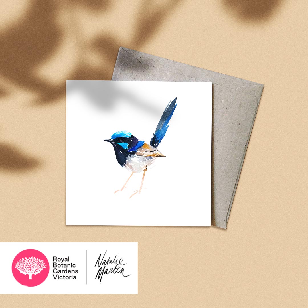 'Superb Fairy Wren' NM x RBGV Greeting Card