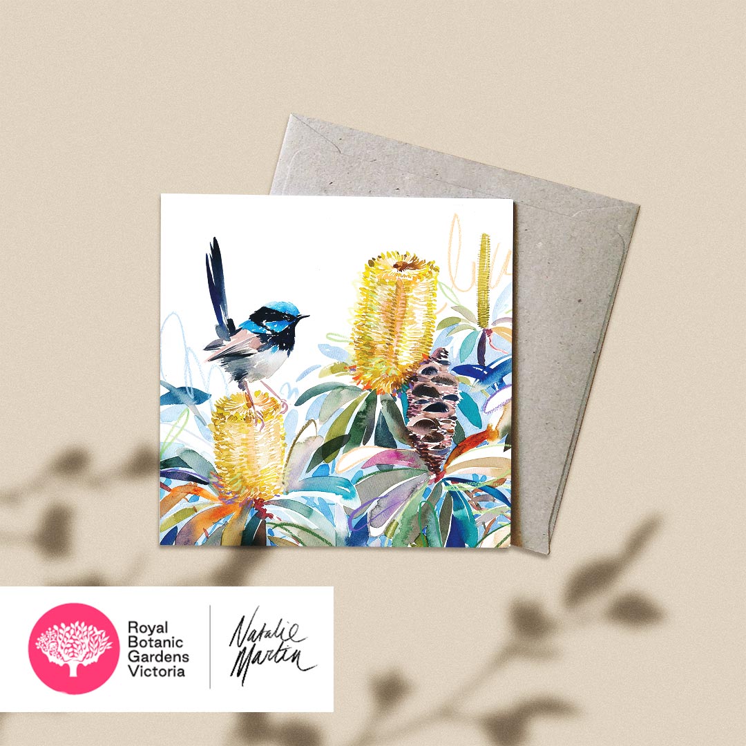 &#39;Superb Fairy Wren and Coastal Banksia&#39; NM x RBGV Greeting Card