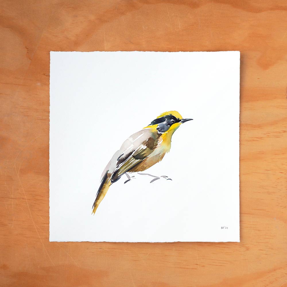 'Helmeted Honeyeater' Original Artwork