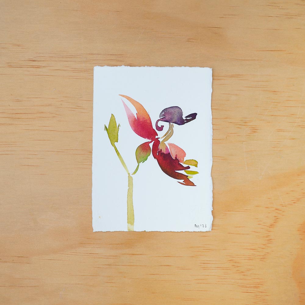 'Flying Duck Orchid' Original Artwork