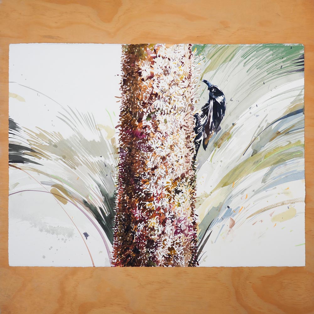 &#39;Grass Tree and New Holland Honeyeater&#39; Original Artwork