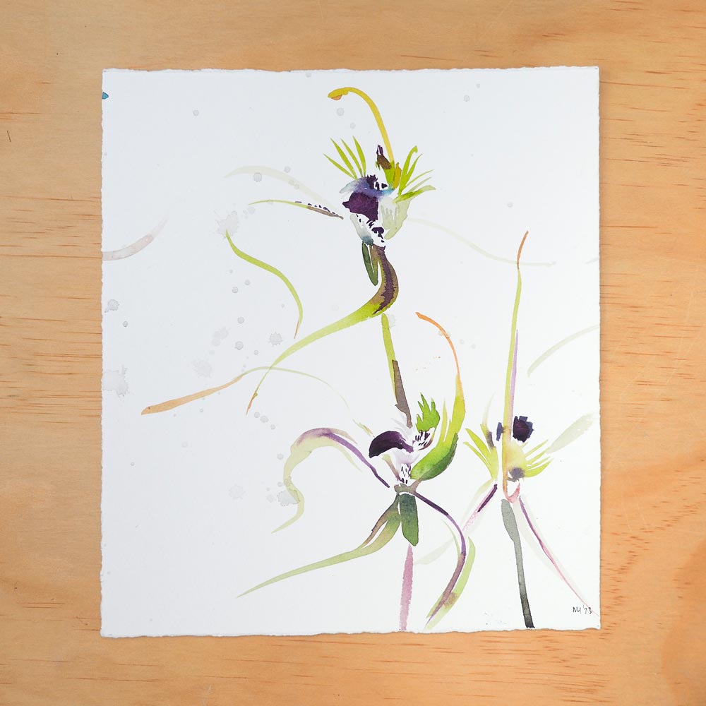 &#39;Mantis Orchid&#39; Original Artwork