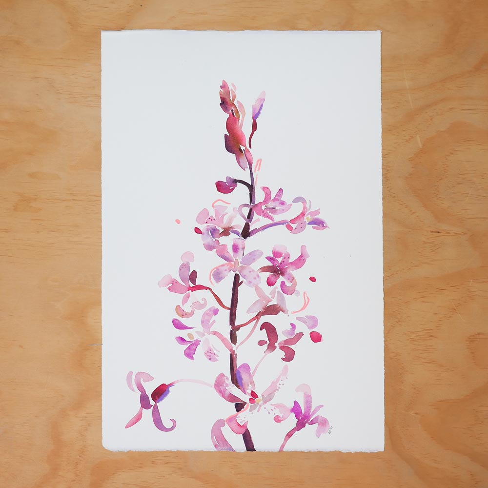 'Rosy Hyacinth Orchid' Original Artwork