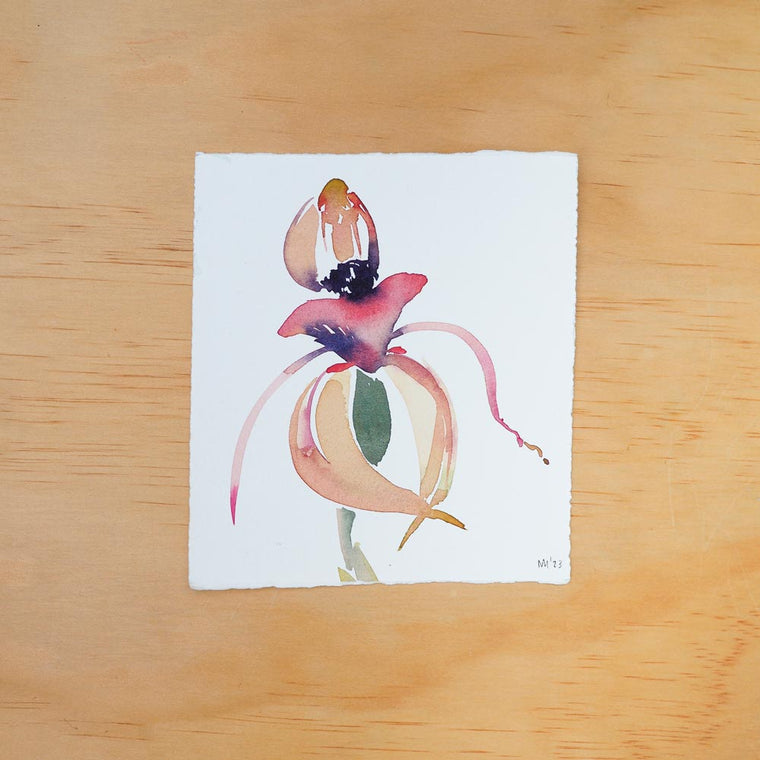 'Thick-lip Spider Orchid' Original Artwork