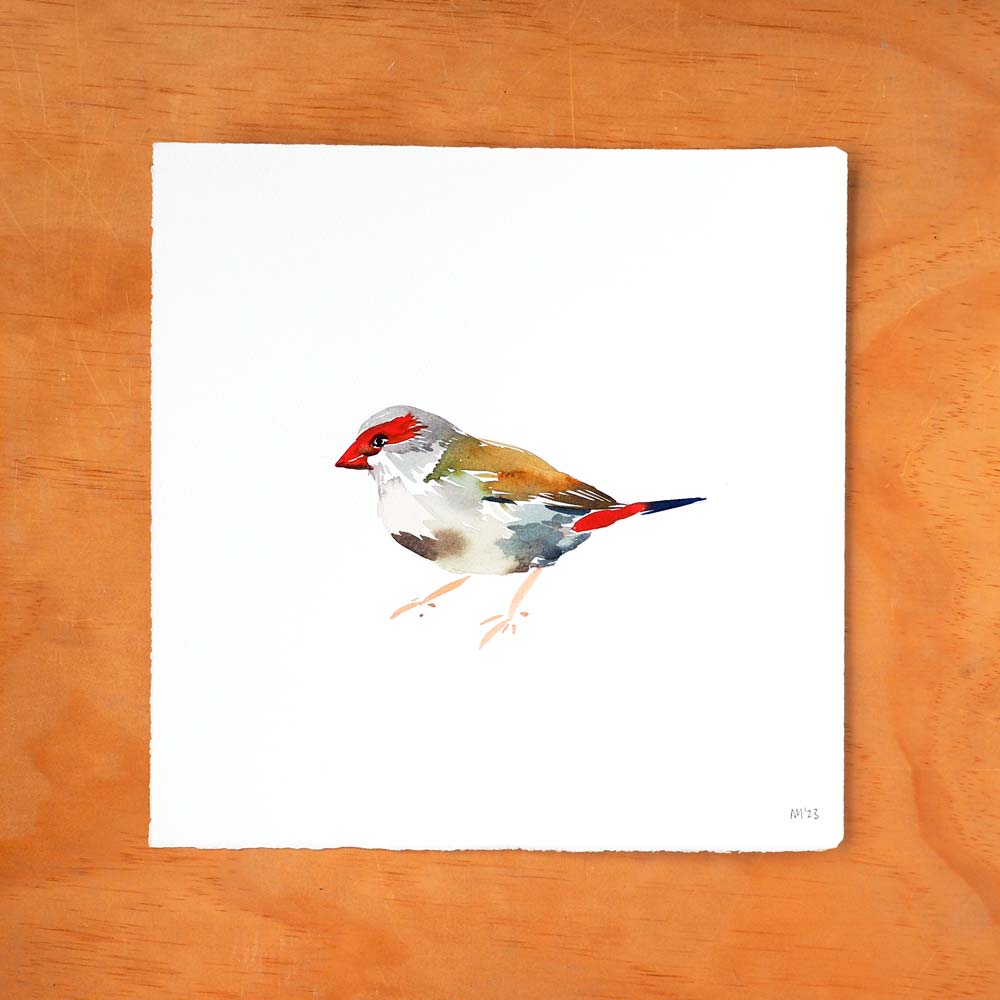 &#39;Red-browed Finch&#39; Original Artwork