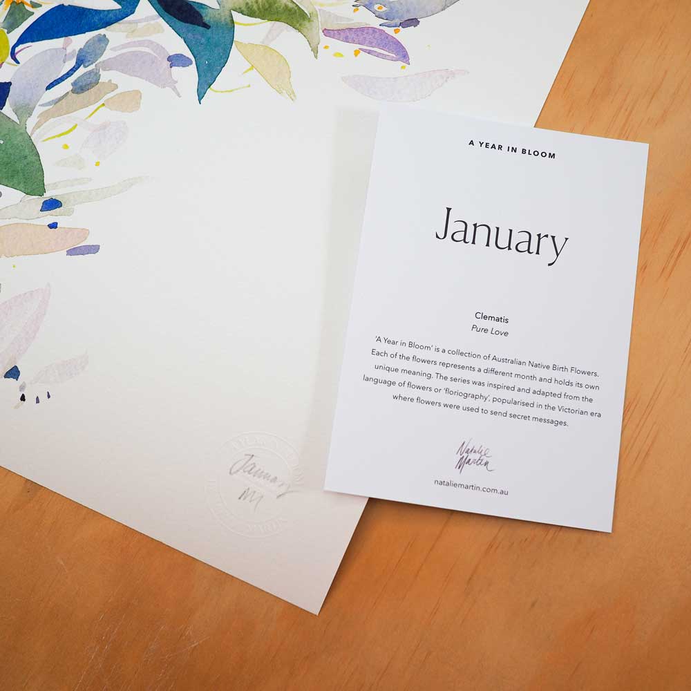 'January' Clematis Birth Flower Art Print