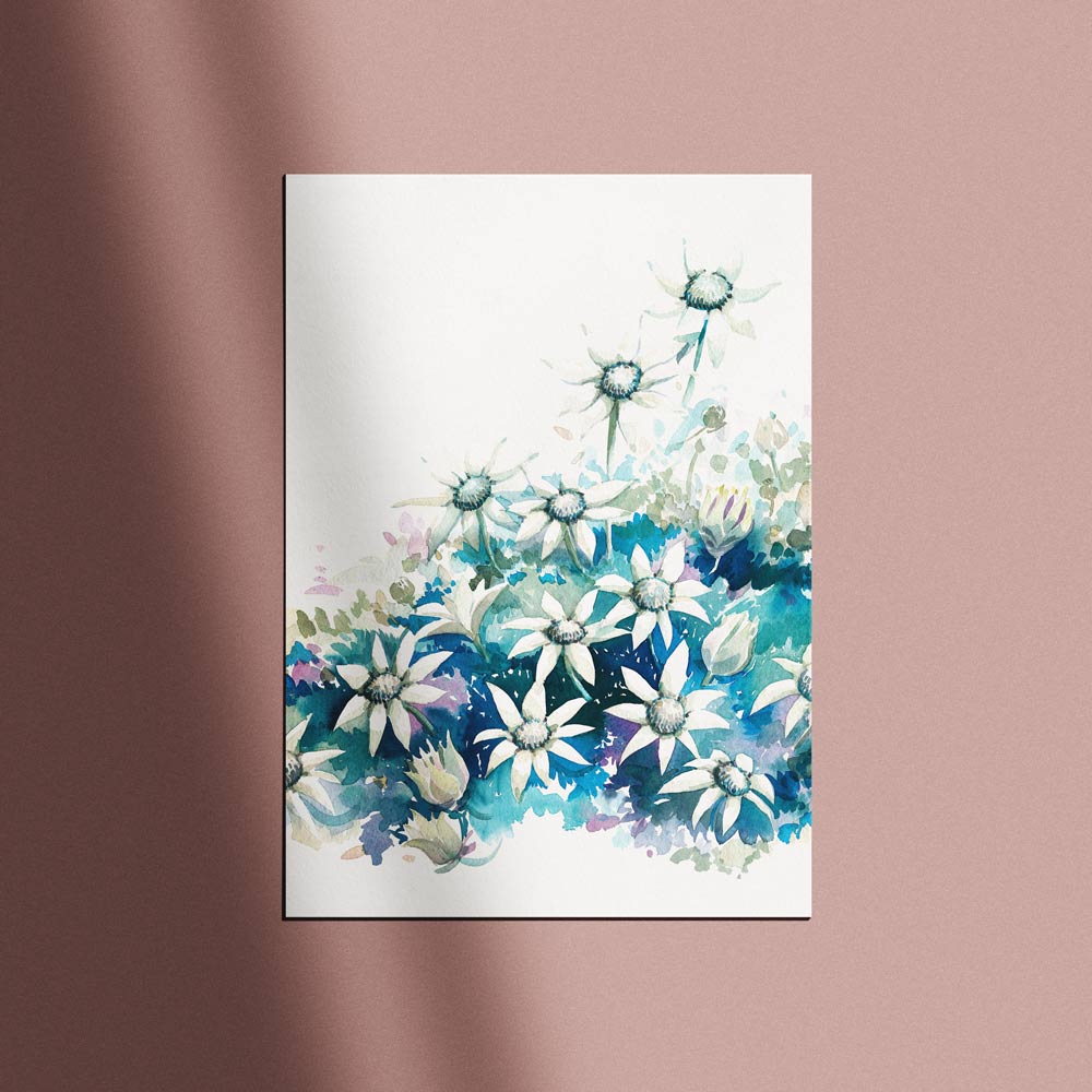 'April' Flannel Flower Birth Flower Art Print