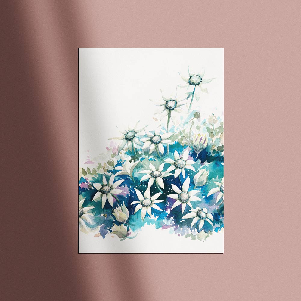 &#39;April&#39; Flannel Flower Birth Flower Art Print