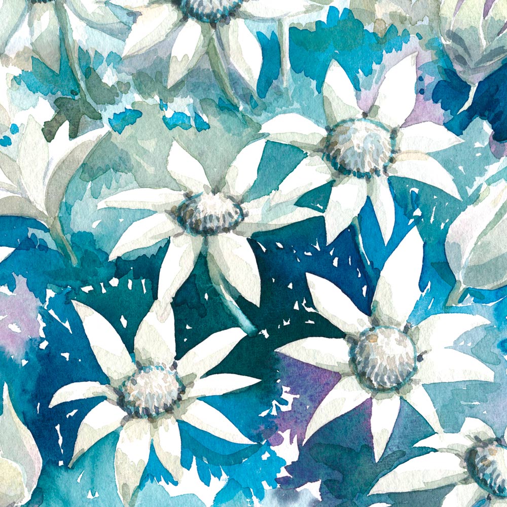 'April' Flannel Flower Birth Flower Art Print