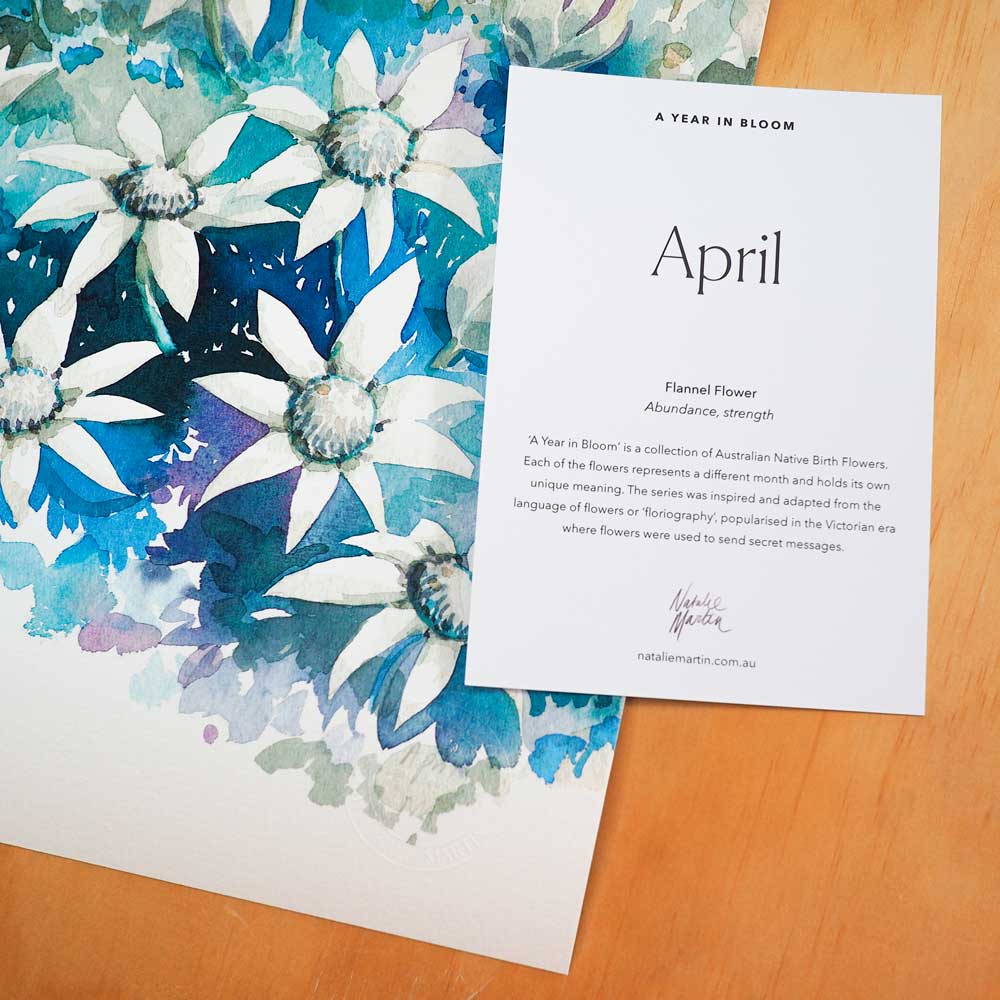 'April' Flannel Flower Birth Flower Art Print