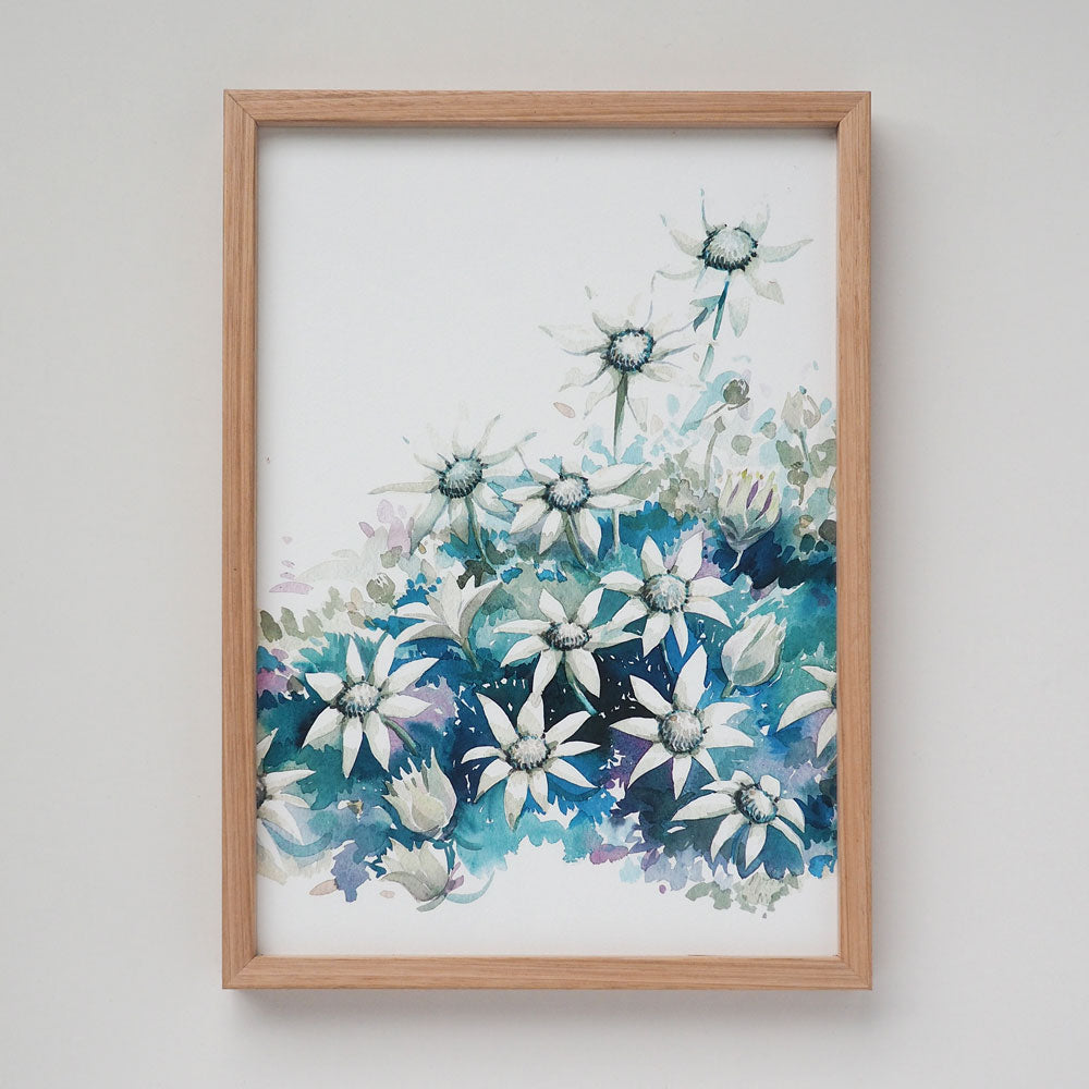 &#39;April&#39; Flannel Flower Birth Flower Art Print