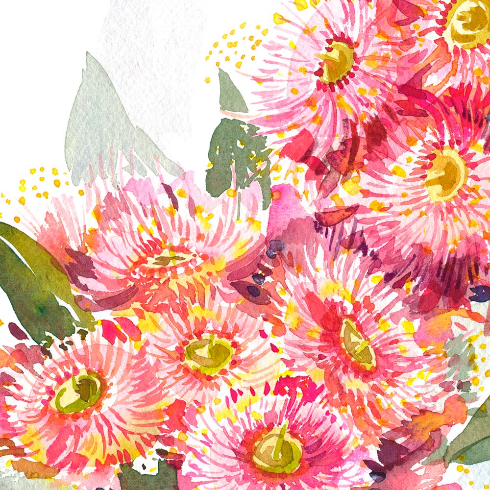 &#39;May&#39; Flowering Gum Birth Flower Art Print