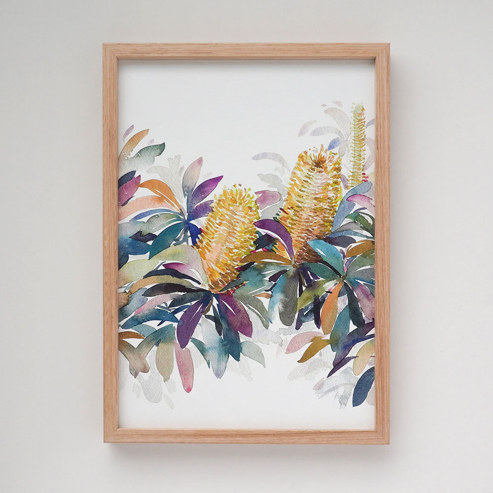 &#39;August&#39; Banksia Birth Flower Art Print