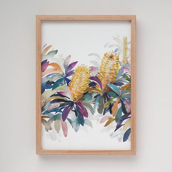 'August' Banksia Birth Flower Art Print - Natalie Martin