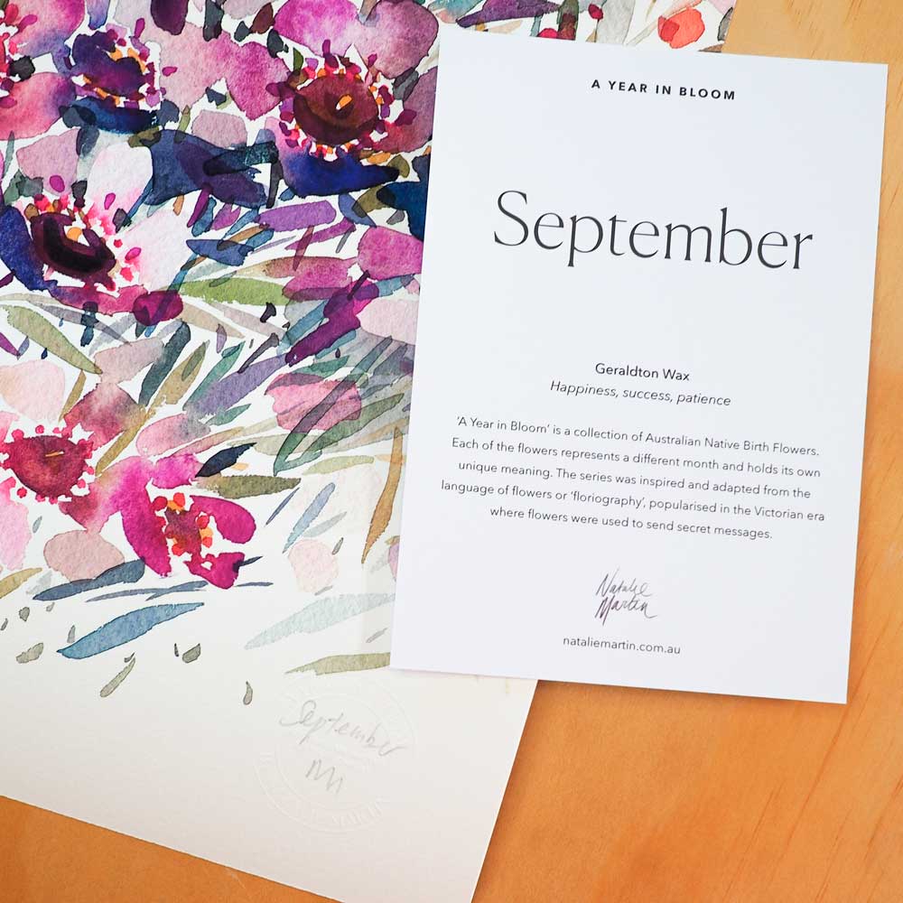 'September' Geraldton Wax Birth Flower Art Print